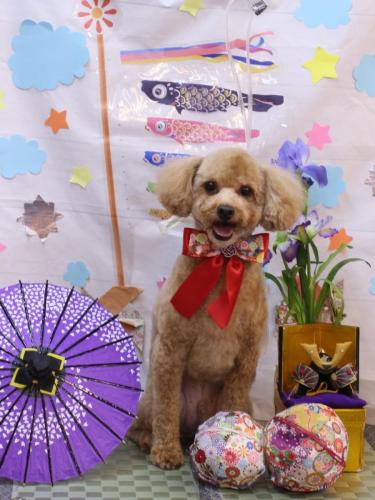 20240530おでんくん